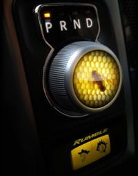 Amber-encased bee mounted into the 8-speed rotary shifter knob.